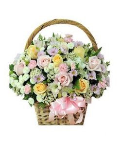 Hoa cẩm tú cầu tặng bạn gái cực đẹp