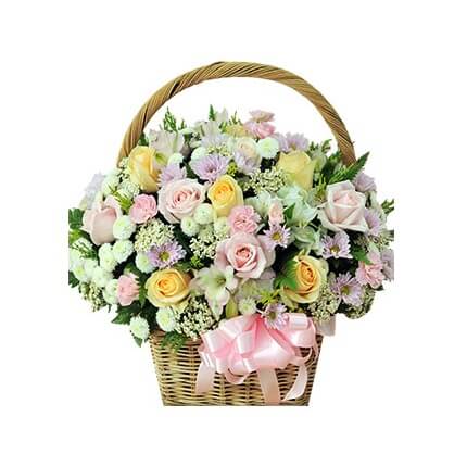 Hoa cẩm tú cầu tặng bạn gái cực đẹp